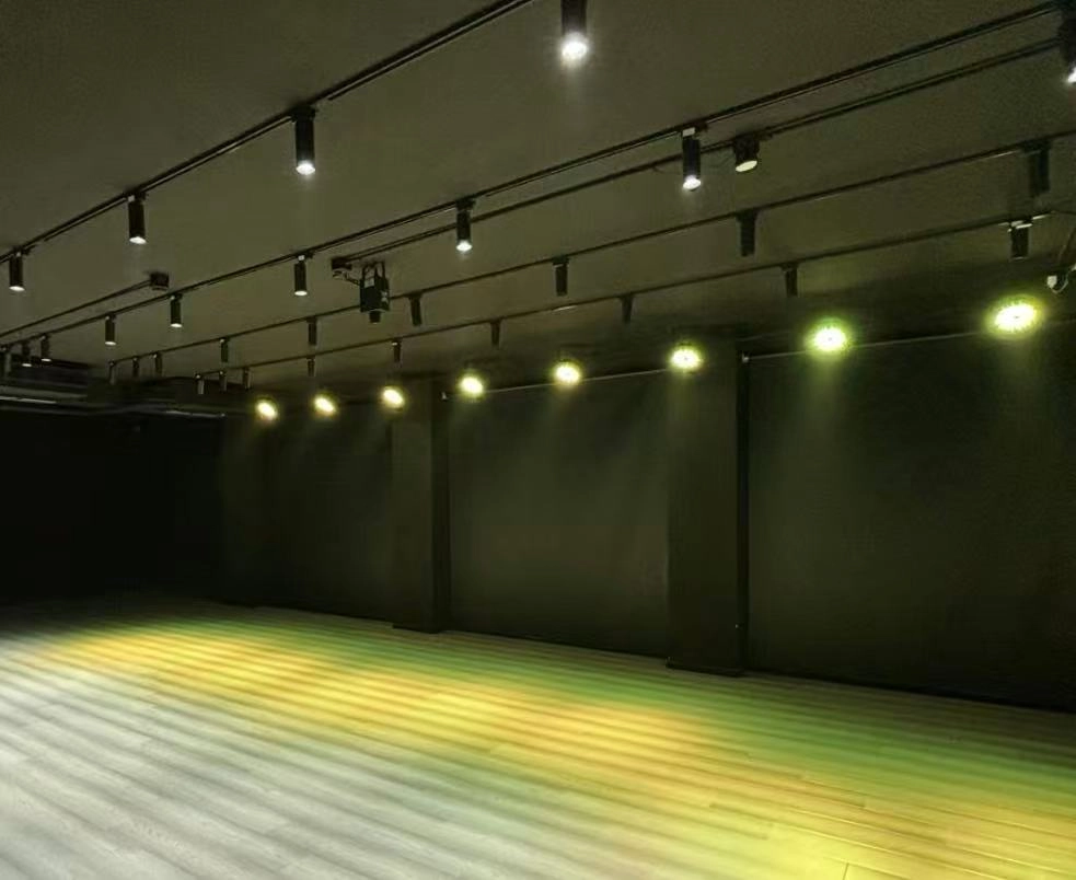 led par light - Vanray