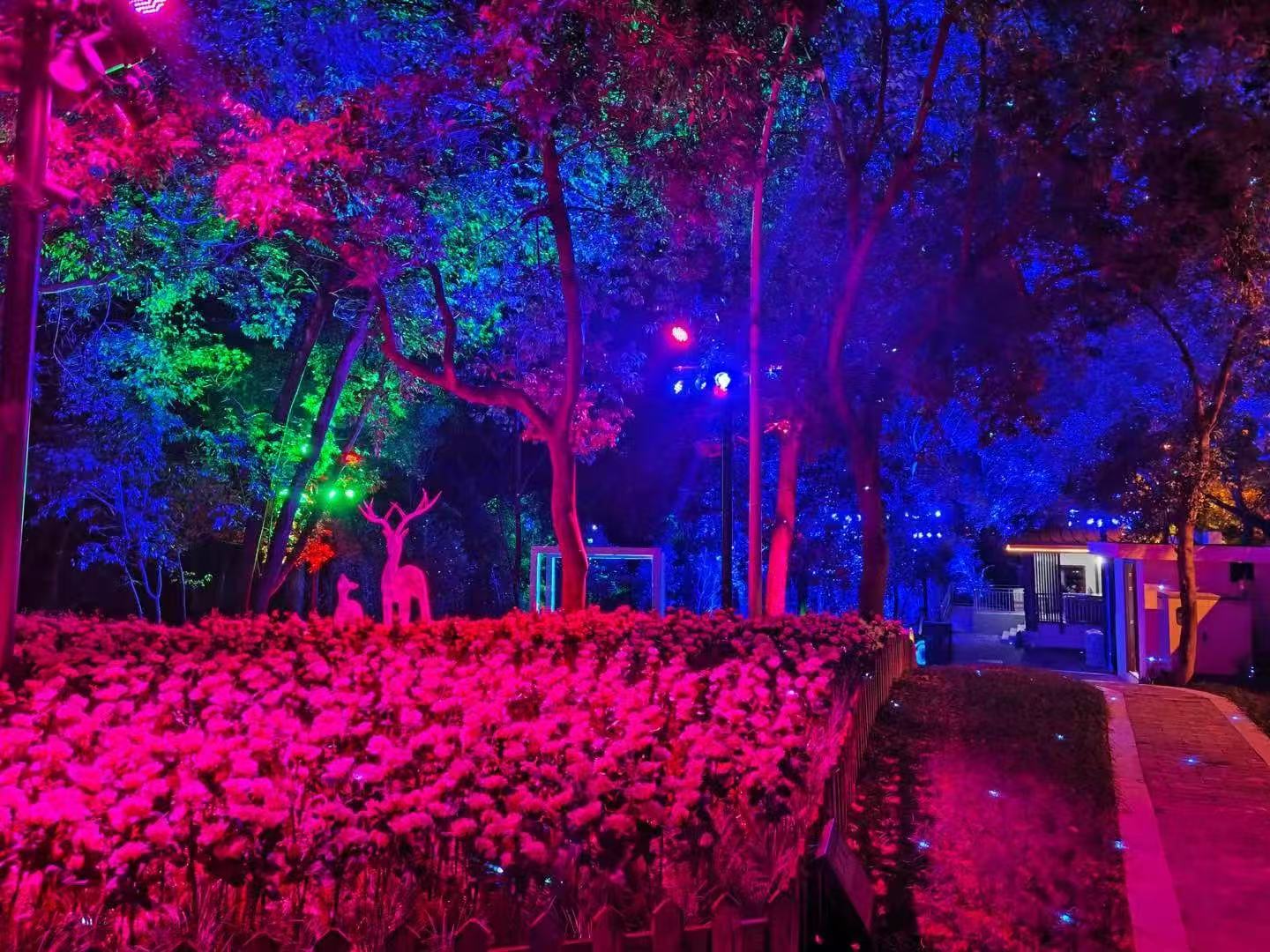 led wash par light