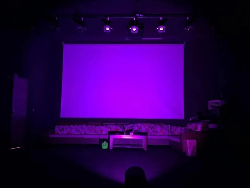 suitable for concert led par light - Vanray