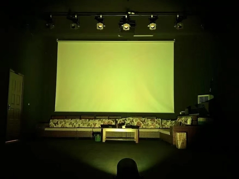 suitable for events par light led - Vanray