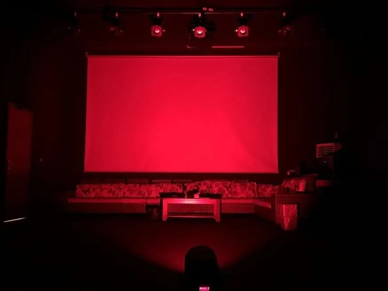 suitable for stage led par light stage - Vanray