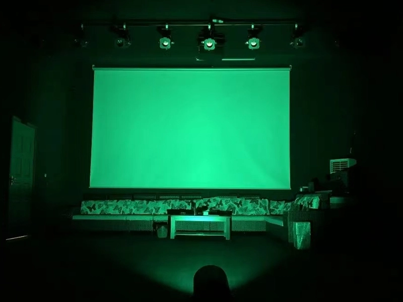suitable for theatre professional led par light - Vanray