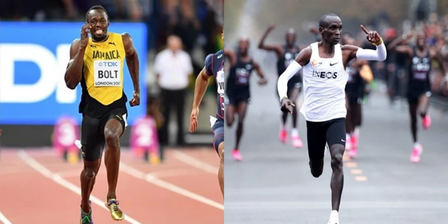 8785cce3-7e83-4a45-b0e5-6fa85a83d6c4