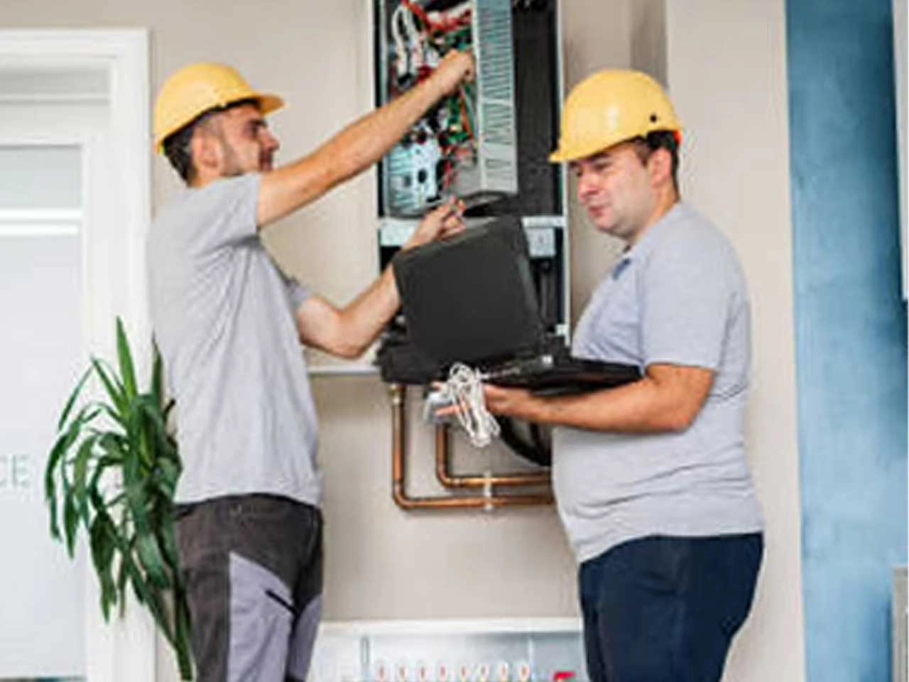 سكن - إيكو نيولينك