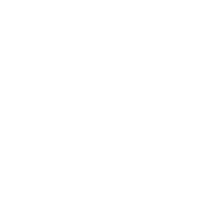 Custom Software for Targeted Functionality