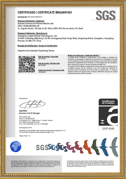 DSS_BRA24-01433---BRA-CERT240900874-01