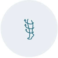 Versatile Functions