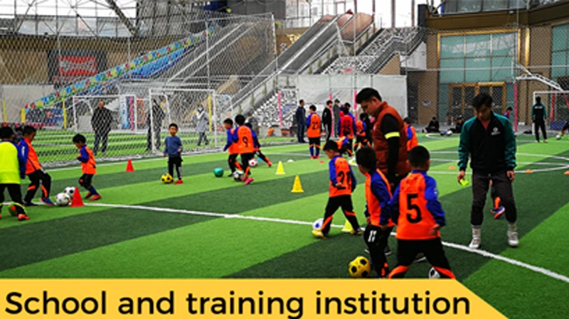 soccer simulator