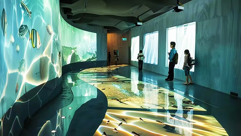 immersive exhibition