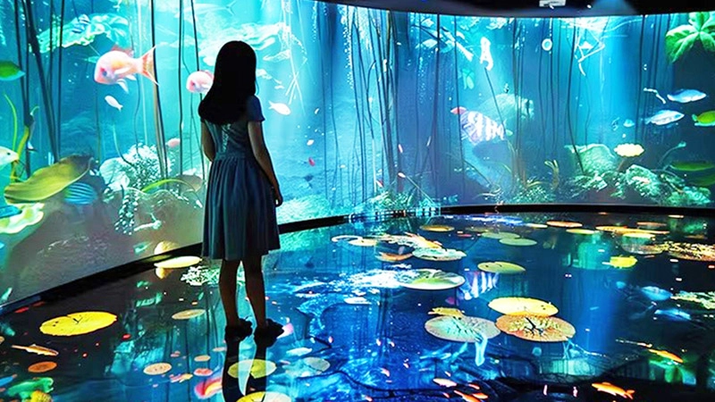 immersive exhibition
