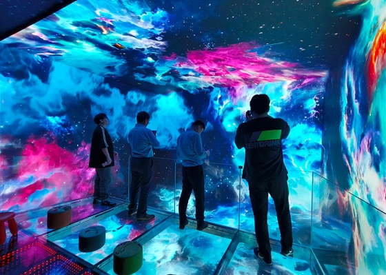 factory direct immersive art projection system