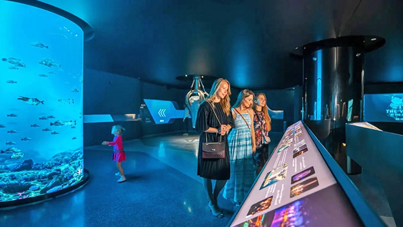 immersive spaces experience
