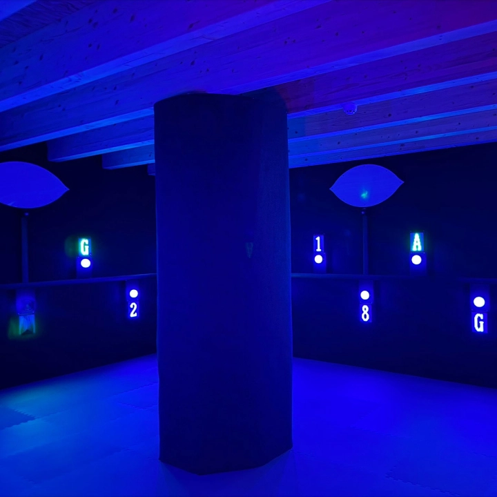 hide-squid-game-escape-room-challenge-action-arena