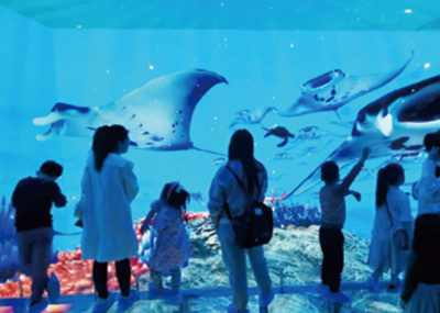 buy immersive cave projection room system