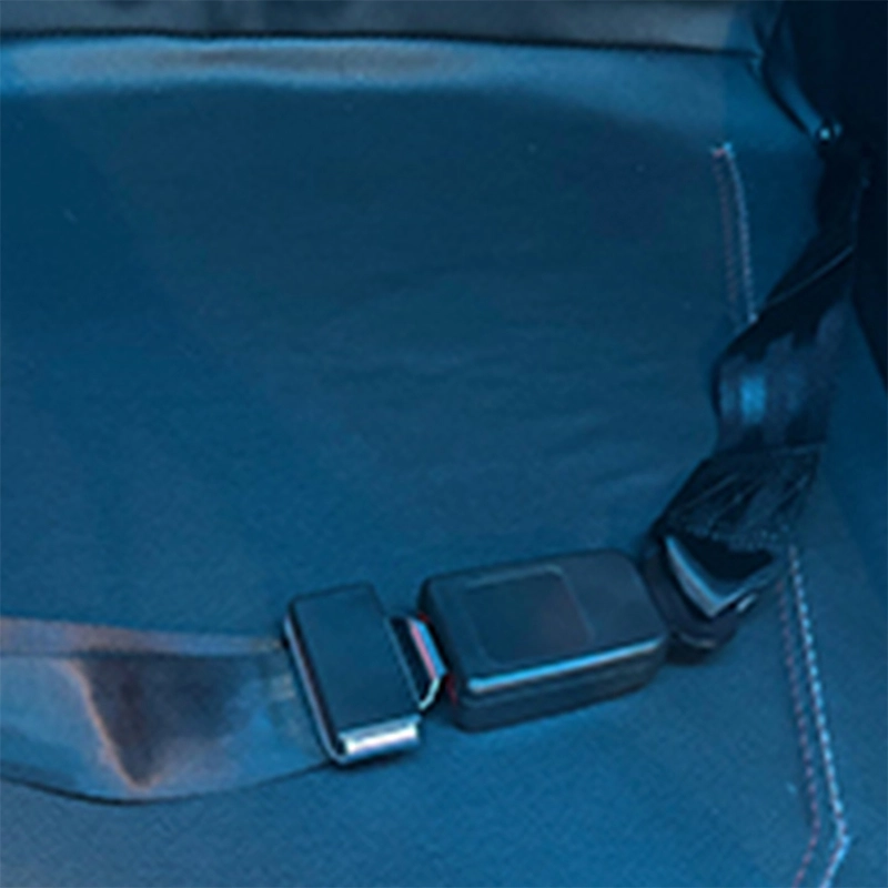 Safety Belt