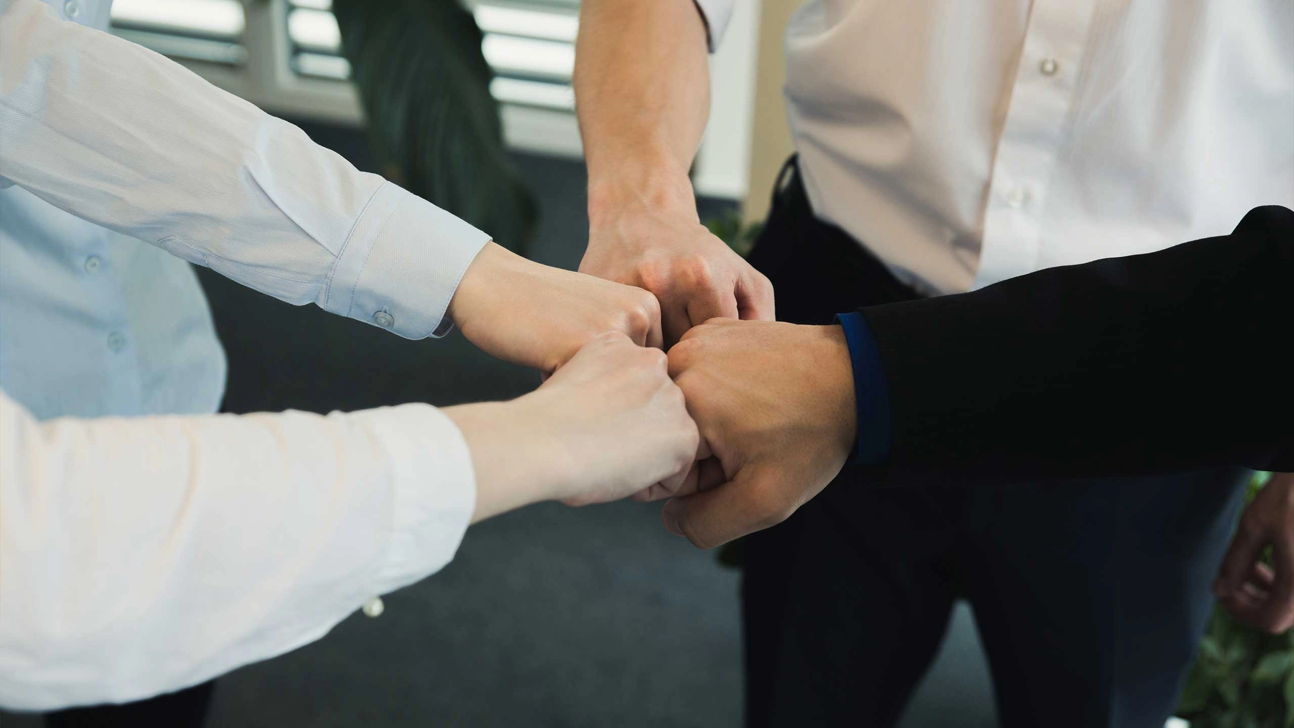 Ongoing-Support - Colorful Park