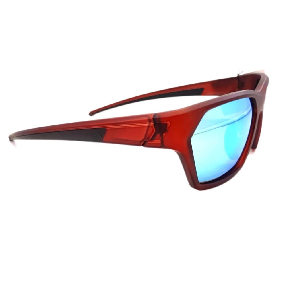 Polished Finish Sunglasses