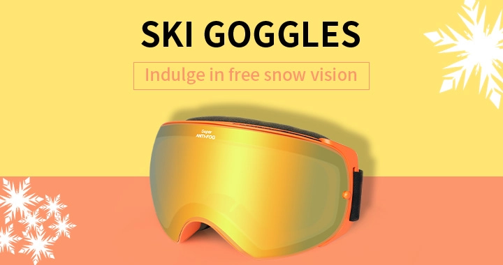 Ski goggles