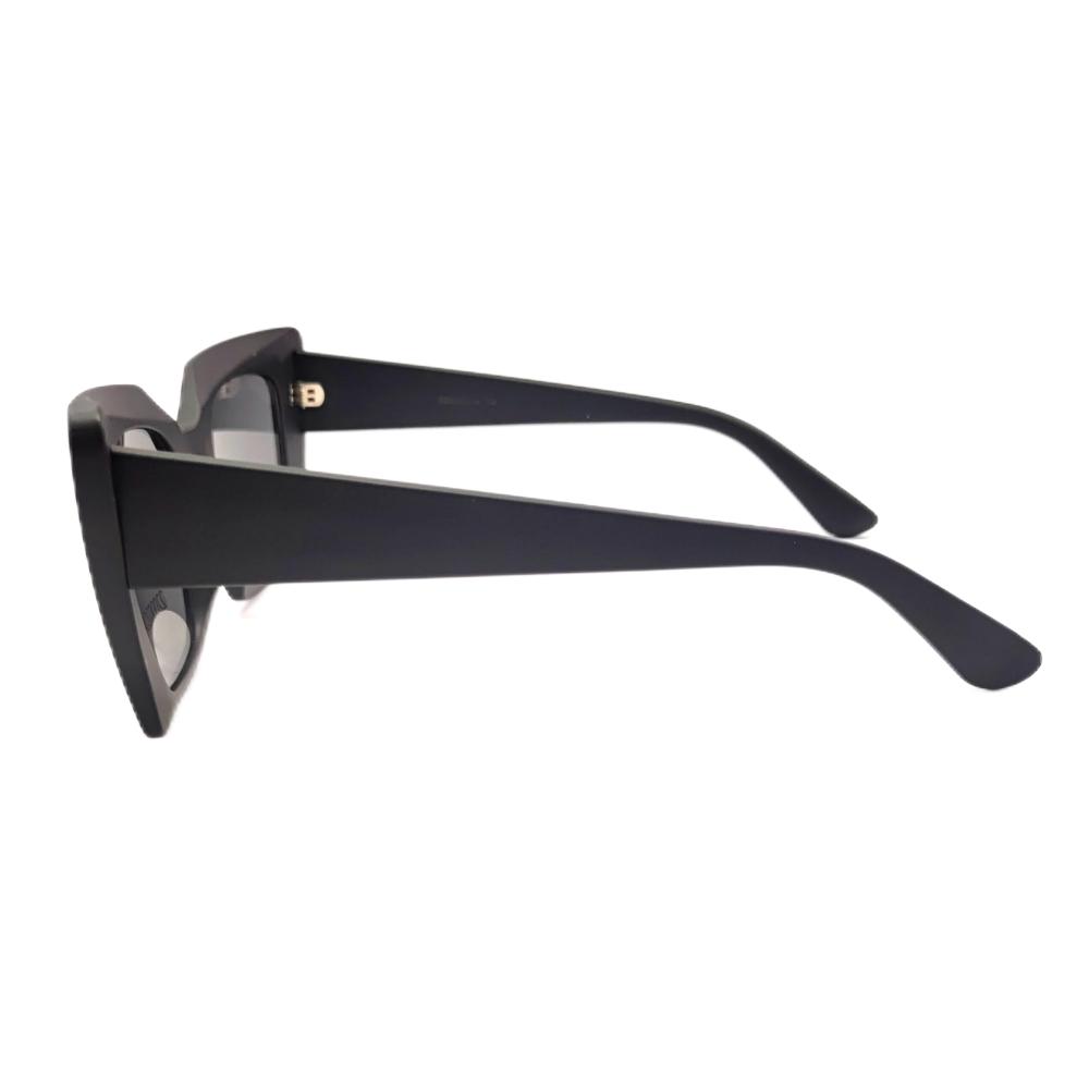 Titanium Sunglasses