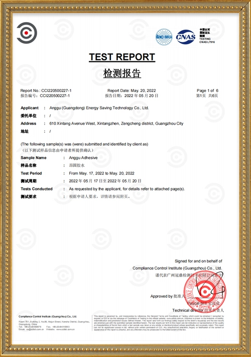 Test Report - Ongo Resin 6