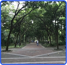 Parks - MARWEY