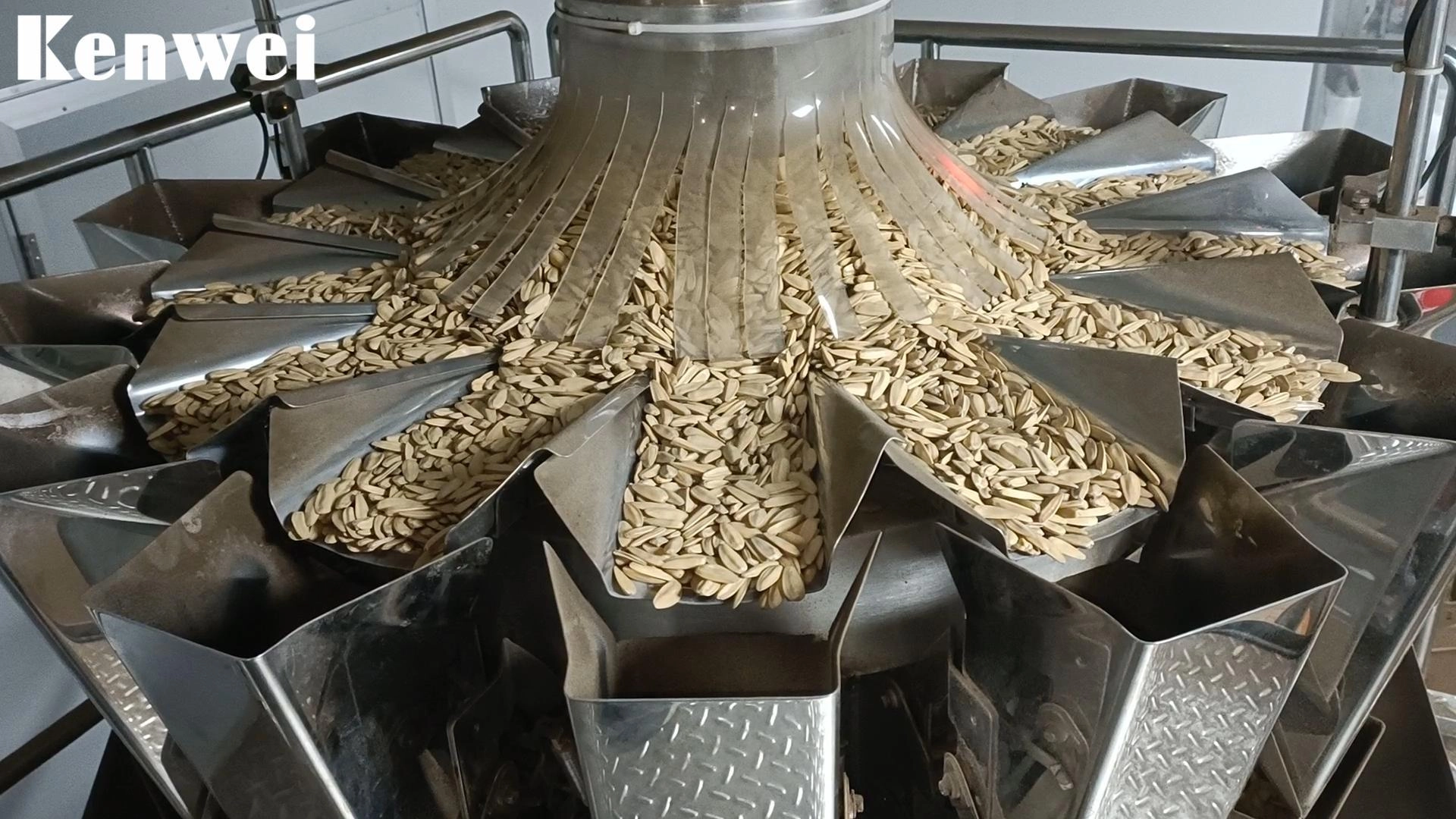 14 Head Multihead Weigher for Sunflower Seeds - Kenwei