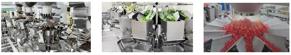 1736393693297-multihead-weigher-case