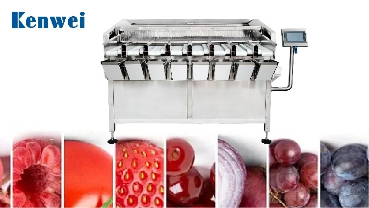 8-Head Fruit Linear Weigher - Kenwei