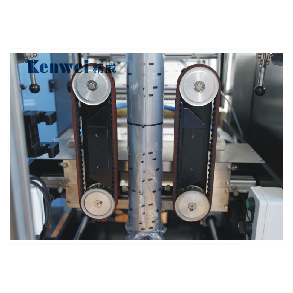 Automatic Multi-Function Pouch Weighing and Packing Machine – 65 BagsMin for Efficient Packaging-3