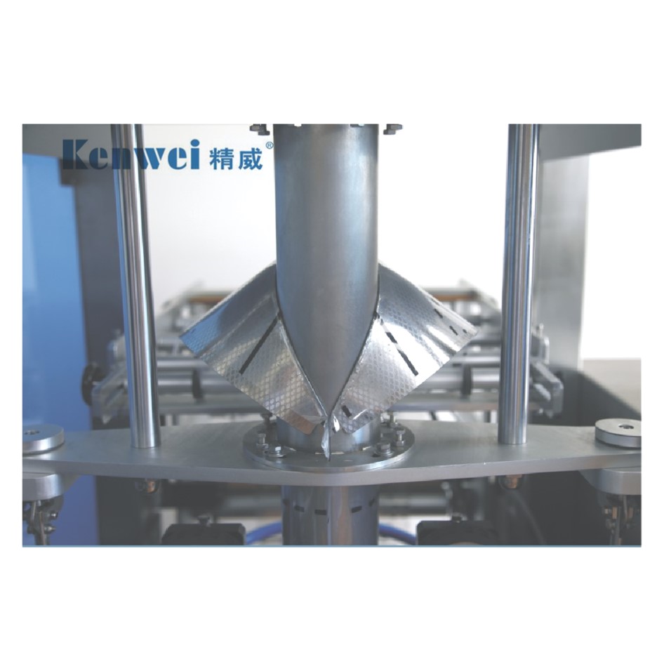 Automatic Multi-Function Pouch Weighing and Packing Machine – 65 BagsMin for Efficient Packaging-4