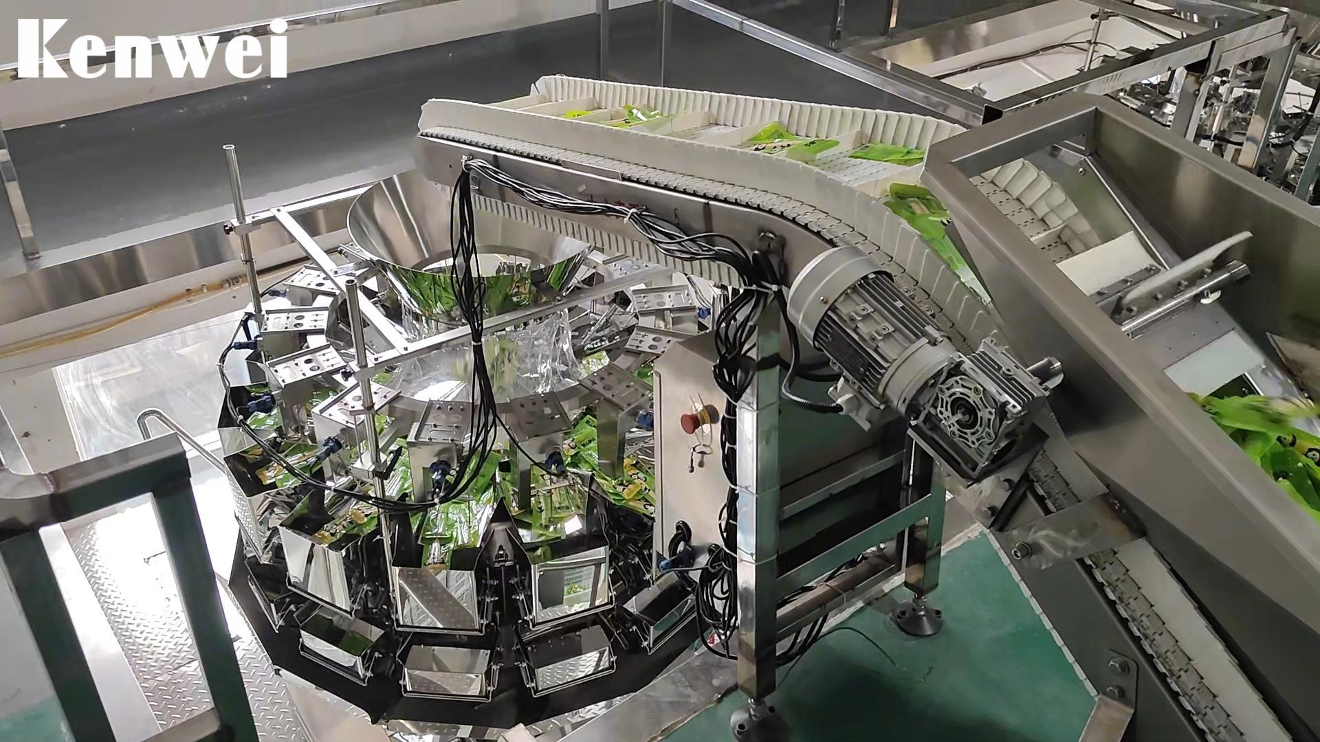 Automatic Snack Weighing and Packaging System - Kenwei