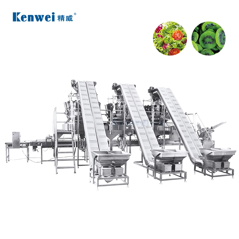 Box-Type-Weighing-and-Packaging-Machine-for-Snack-Foods-and-Puffed-Products-9 - Kenwei Box-Type Weighing and Packaging Machine for Snack Foods and Puffed Products-9 - Kenwei