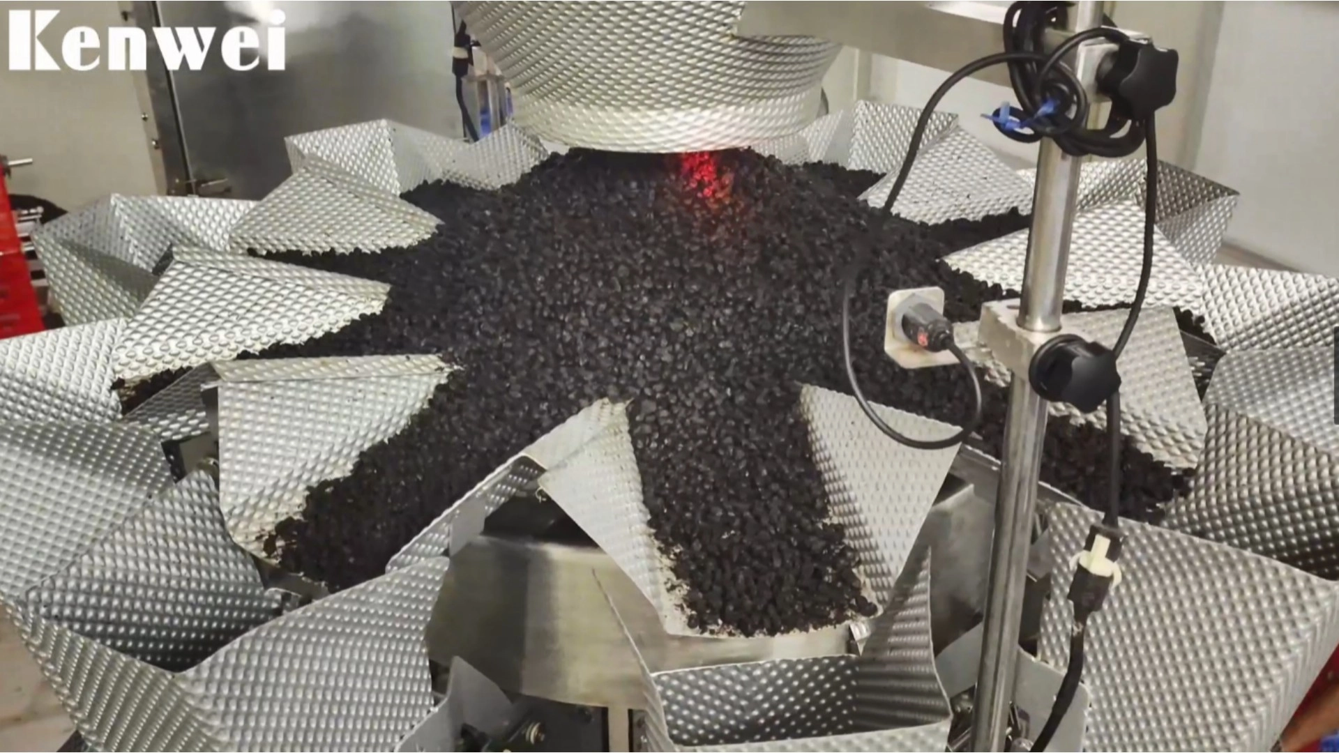 Fermented Black Beans Weighing | Multihead Weigher for Sticky Food - Kenwei