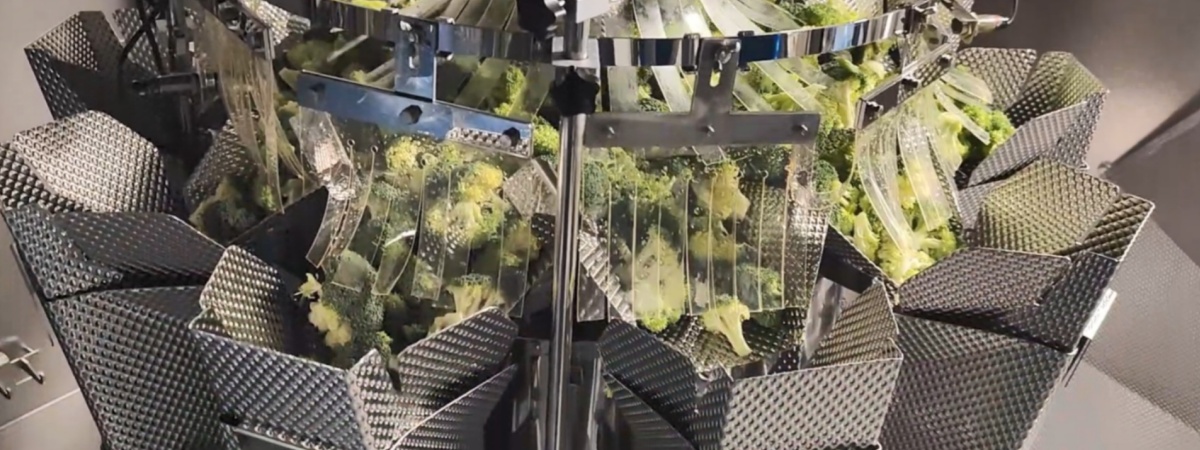 How Multihead Weighers Revolutionize Modern Packaging Efficiency and Accuracy 2