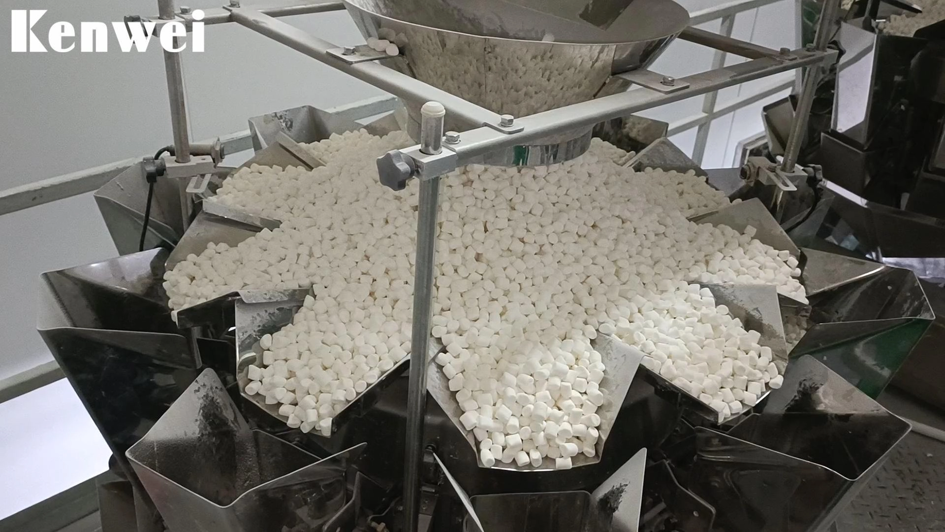 Multihead Weigher for Candy Production - Kenwei