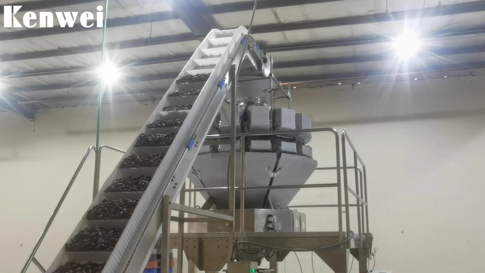 Multihead Weighing and Filling for Dried Dates - Kenwei