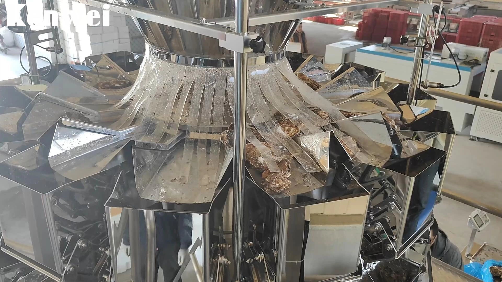 Oyster Weighing & Filling Machine for Seafood - Kenwei