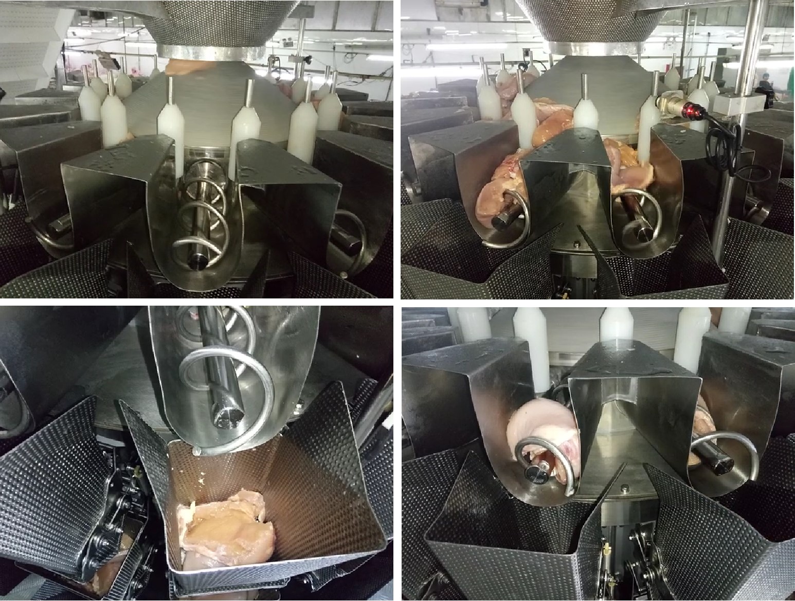 Screw Feeder Multihead Weigher -2