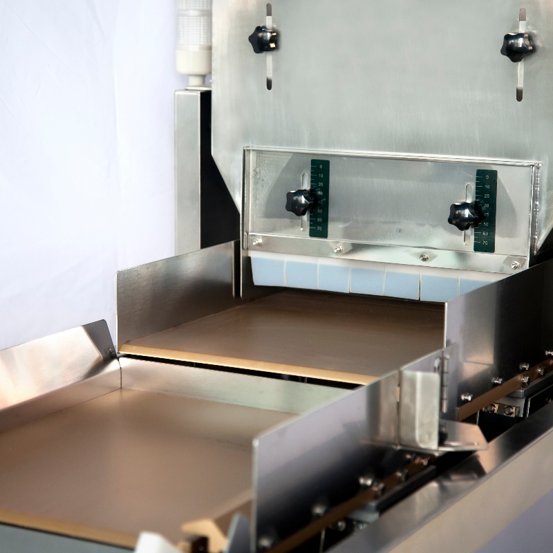 Secondary Two-channel 303 Visual Counting Machine-1