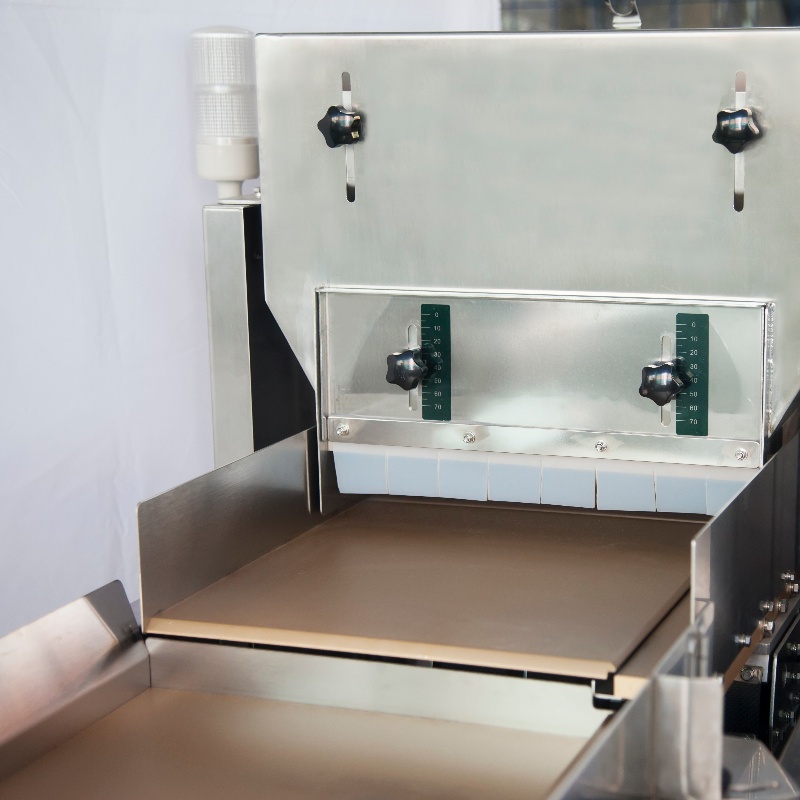 Secondary Two-channel 303 Visual Counting Machine-2