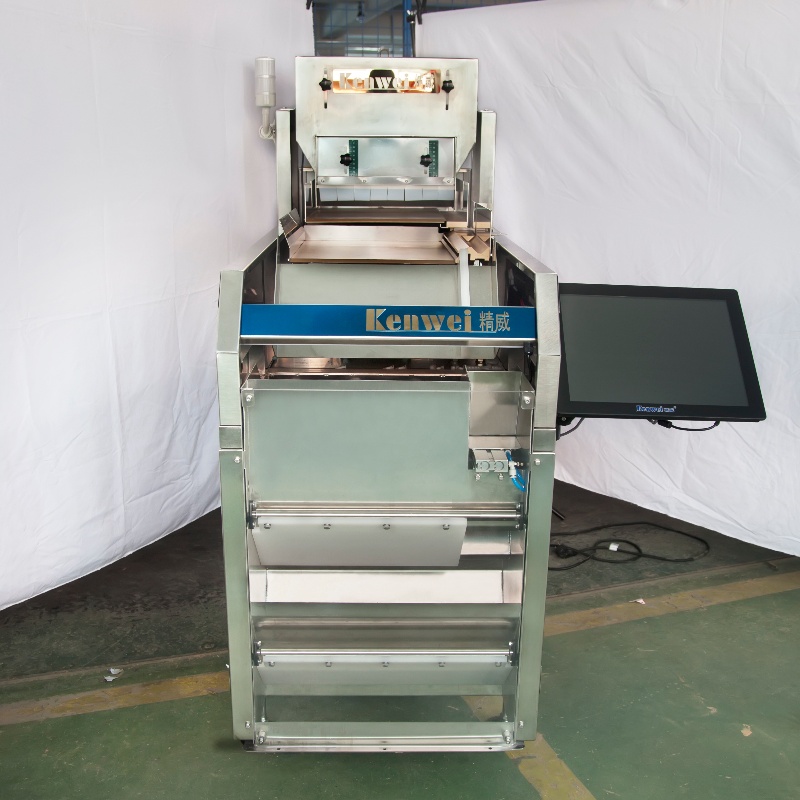 Secondary Two-channel 303 Visual Counting Machine-3