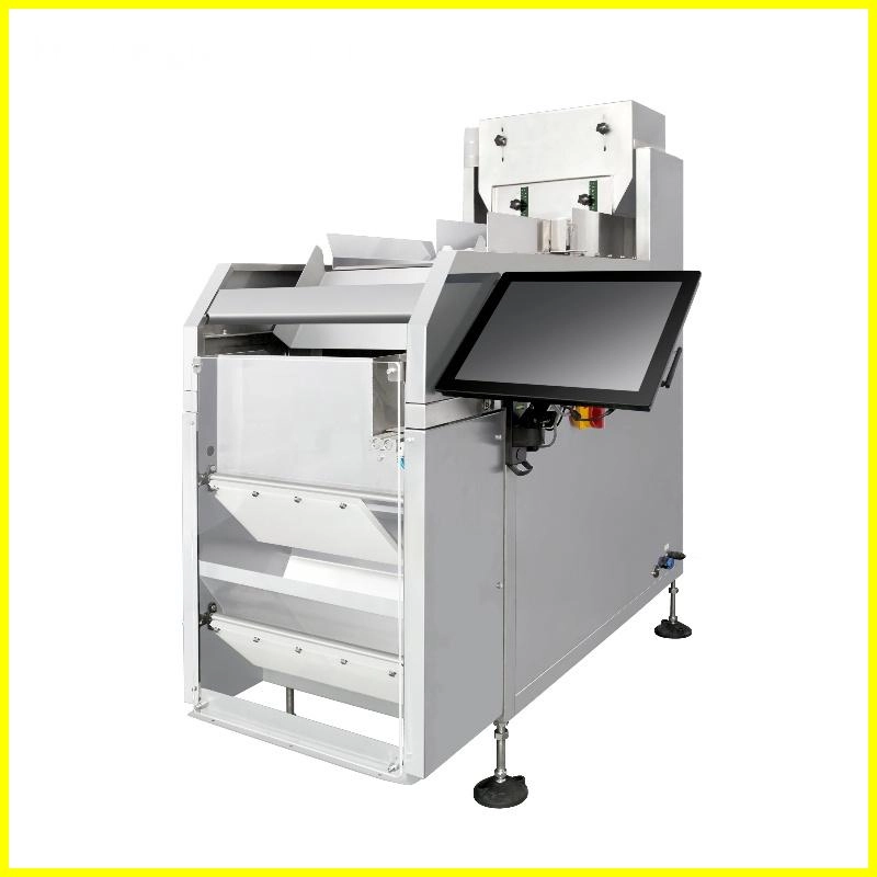 Secondary Two-channel 303 Visual Counting Machine - Kenwei