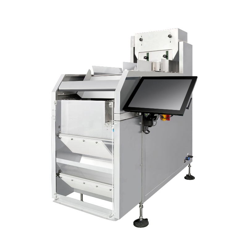 Secondary Two-channel 303 Visual Counting Machine