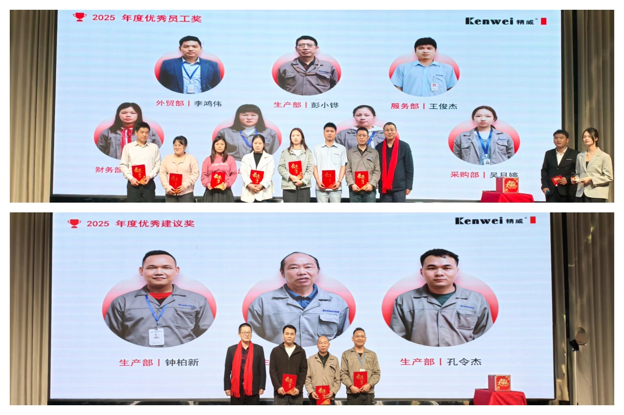 Star-Studded Honors, Tribute to Excellence