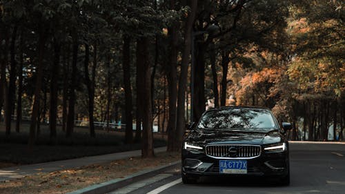 Intelligente Systeme