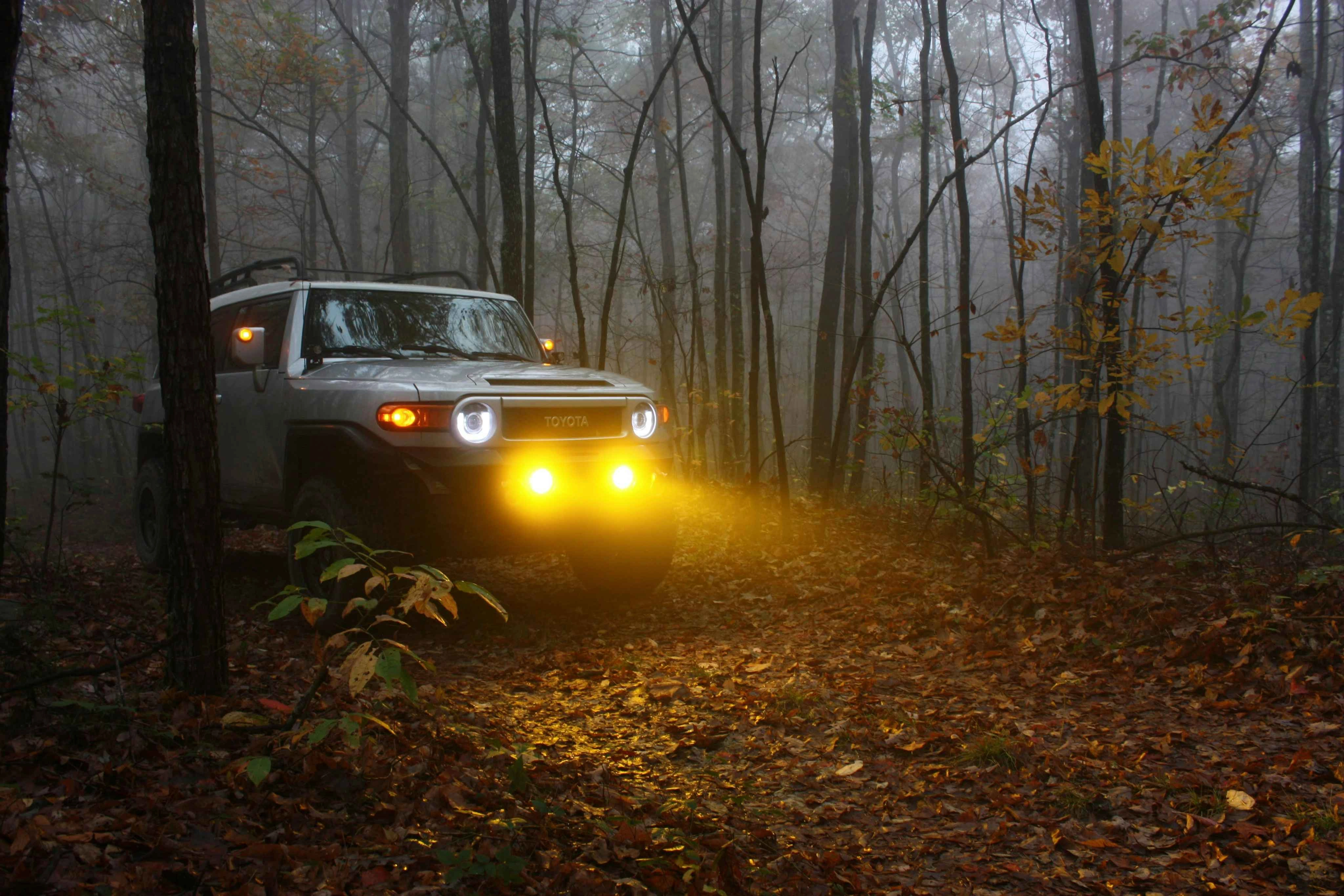When-to-Use-Fog-Lights When to Use Fog Lights