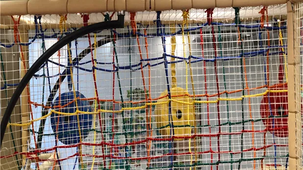 indoor playground equipment Security net - BLEE