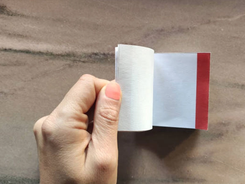Custom Booklet Printing Types (1)