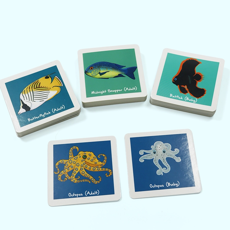 fish learning card custom printing