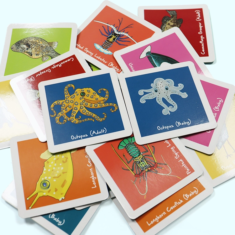 marine knowledge learning card